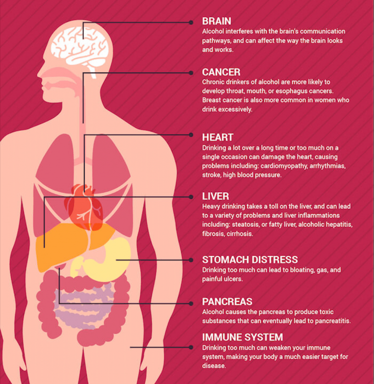 Alcohol Effects on the Brain or Body min 768x789 1