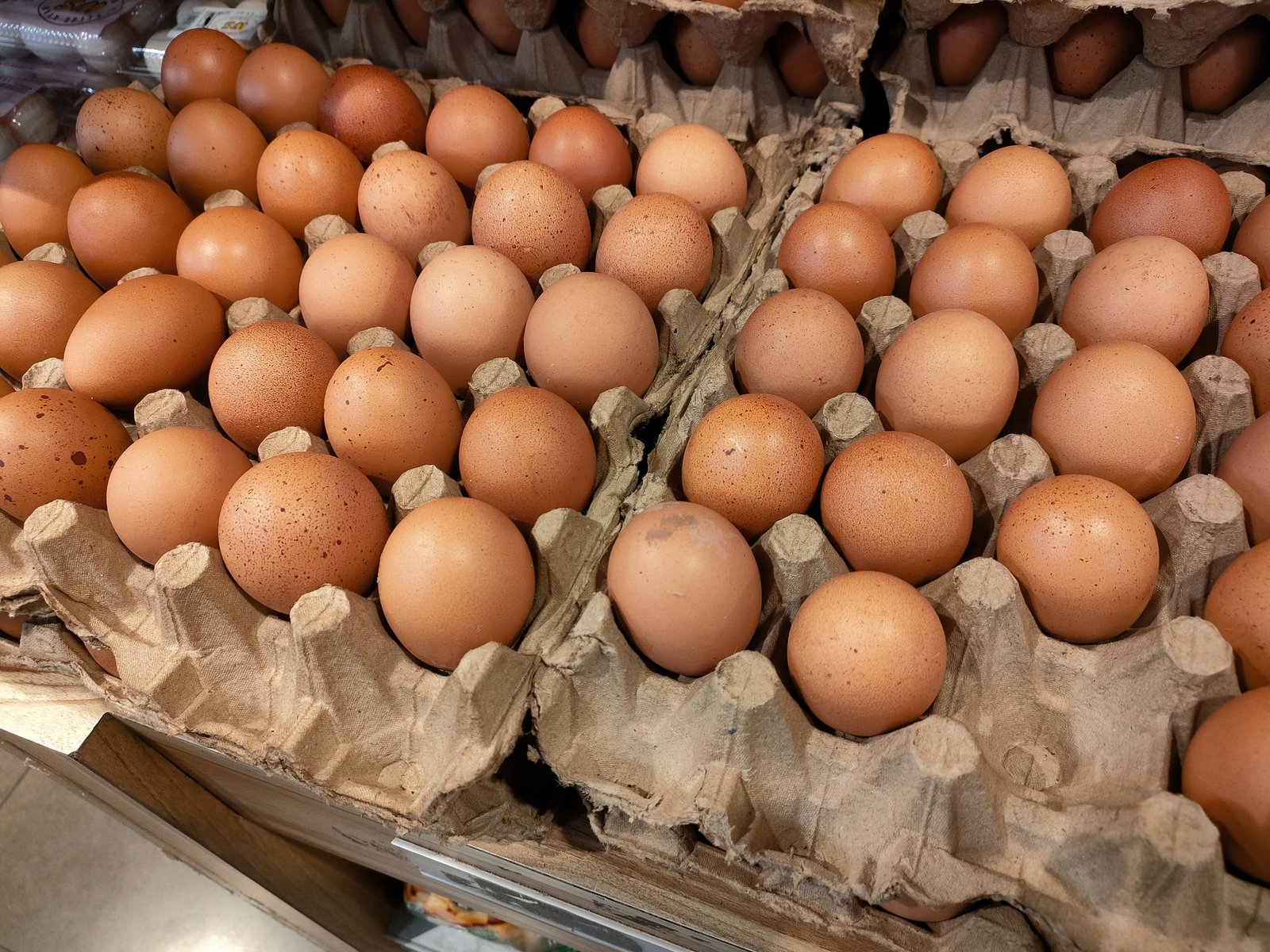 English News: Is It Safe to Eat Eggs and Chicken During the Bird Flu Outbreak?